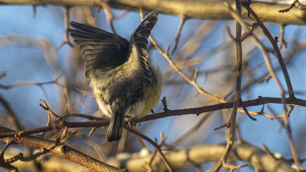 Photograph by Роман Чернышов