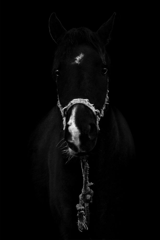 Photograph by Олег Болотников