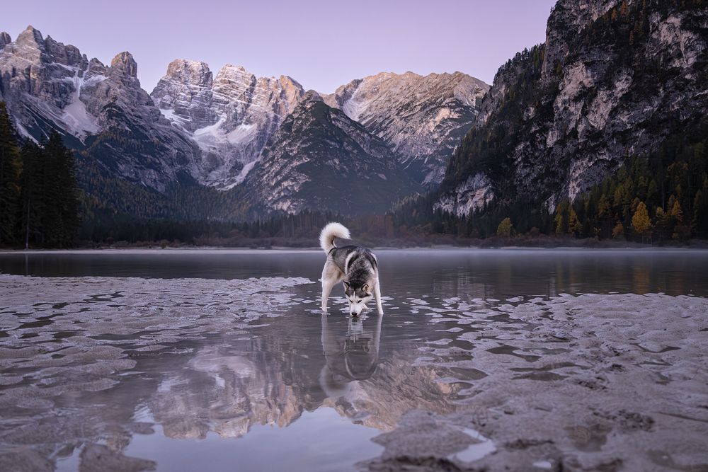 Photograph by Daniela Schmid