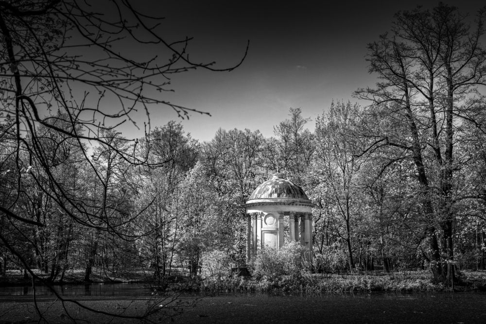Фотография автора Василий Ковалев