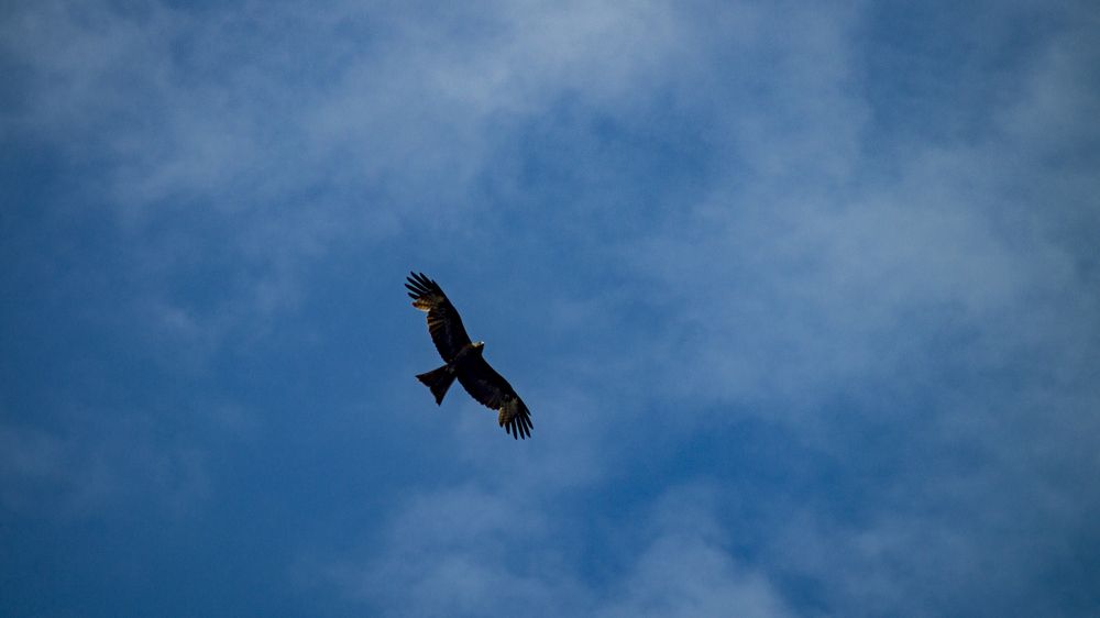 Photograph by Роман Чернышов