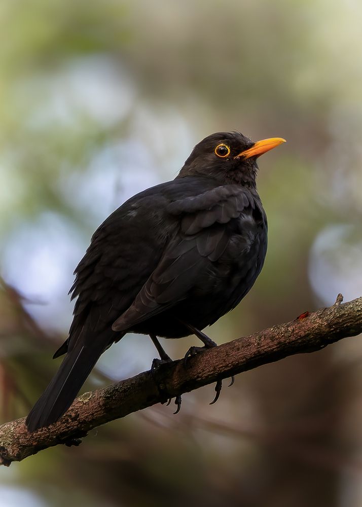 Photograph by Кузнецов Дмитрий