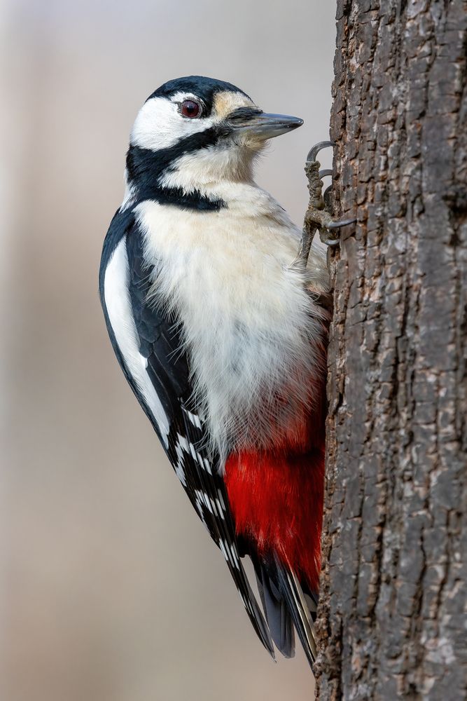 Photograph by Кузнецов Дмитрий