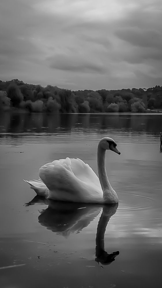 Photograph by Iryna Usanova