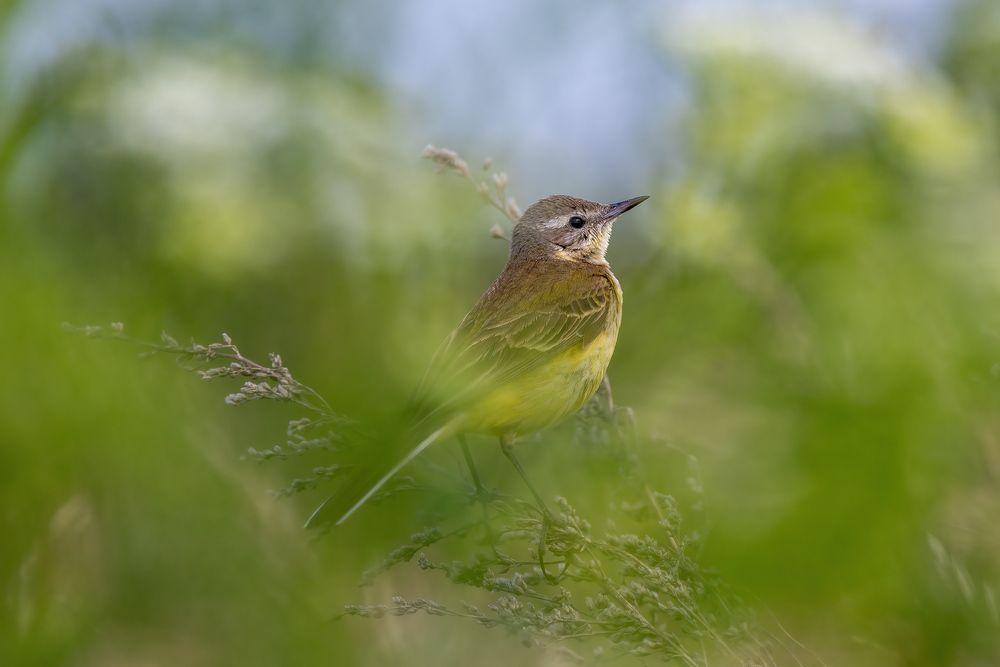 Photograph by Кузнецов Дмитрий