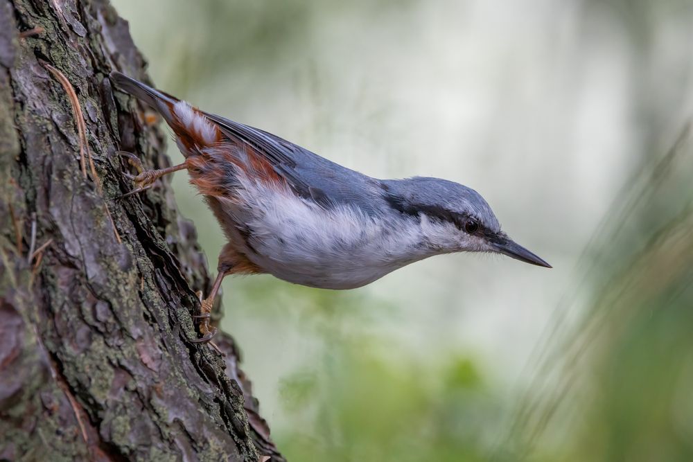 Photograph by Кузнецов Дмитрий