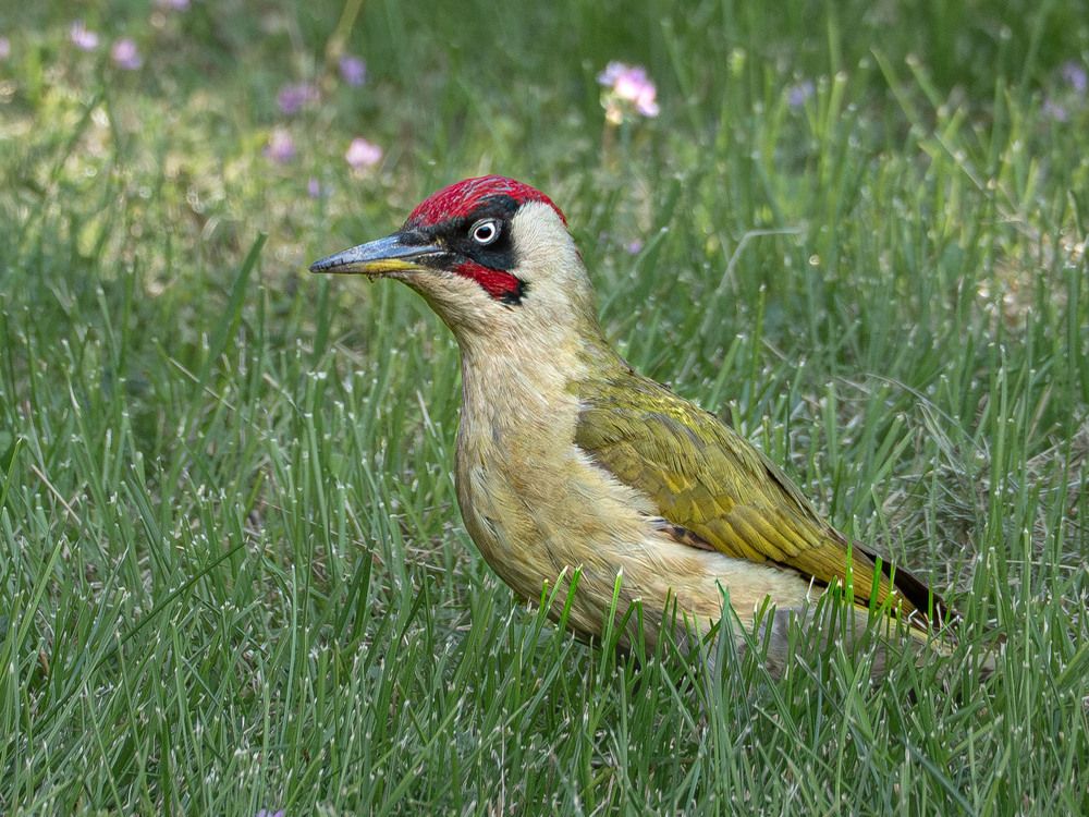 Photograph by Борис Полтавец