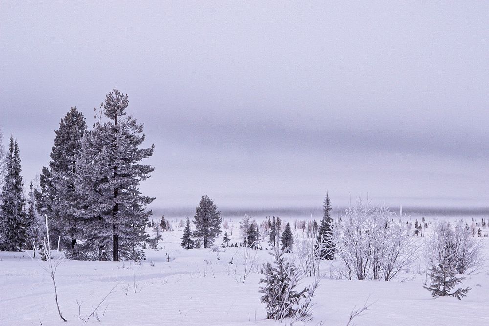 Фотография автора Алина Быстрова