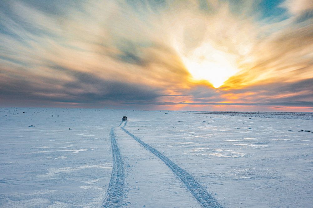 Фотография автора Алина Быстрова