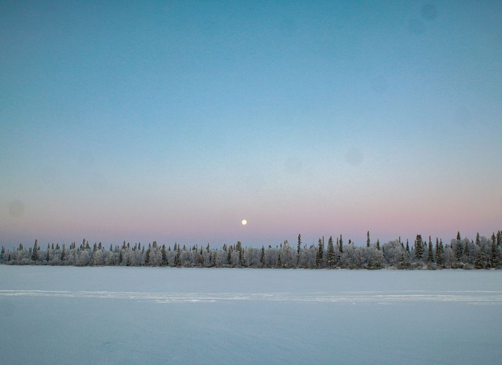 Фотография автора Алина Быстрова