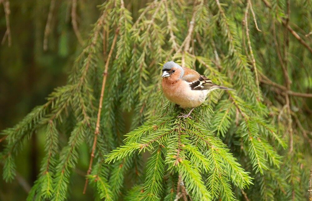 Photograph by Марина Юрченко