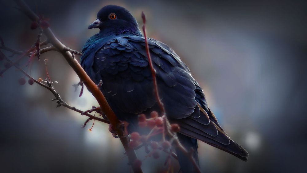 Photograph by Валерий Алфимов