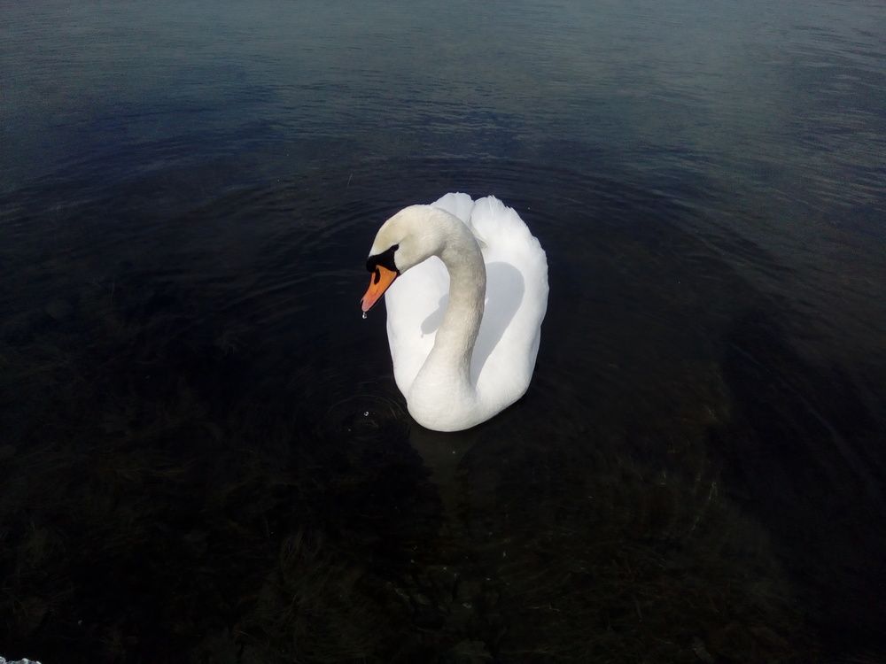 Photograph by Дарина Макарова