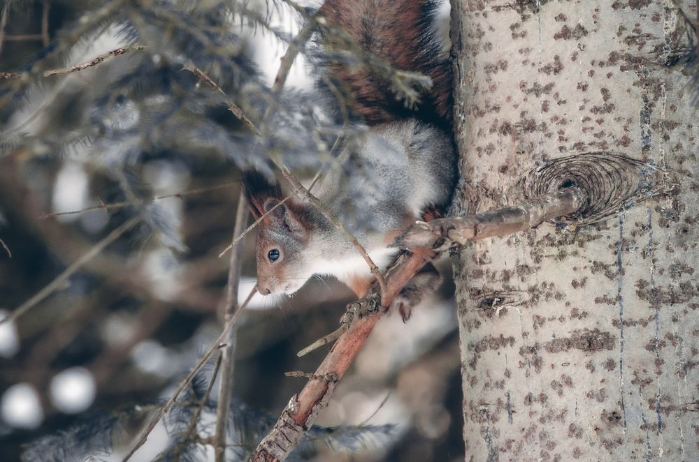 Photograph by Любовь Бусова