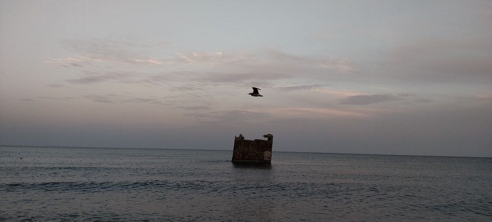 Photograph by Дарина Макарова