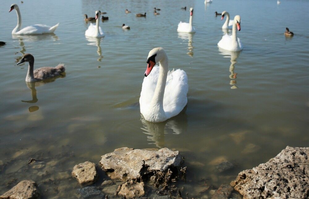 Photograph by Марина Юрченко