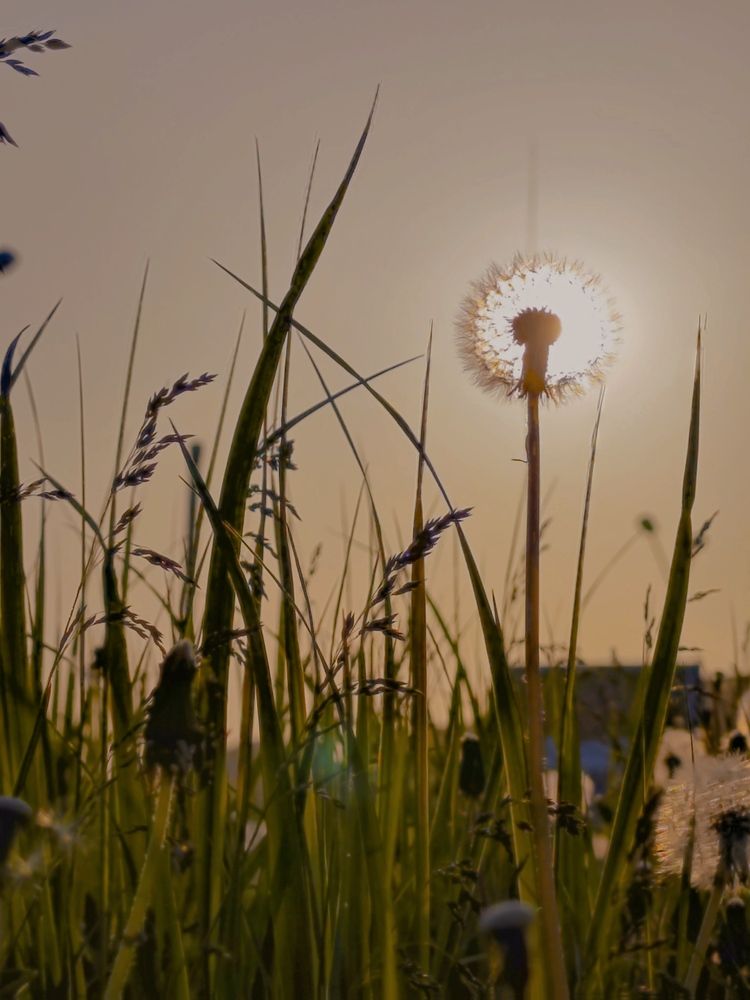 Photograph by Мария Устьянцева