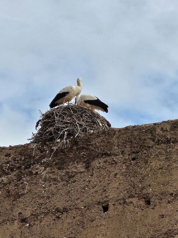 Photograph by Jellab Abdellatif