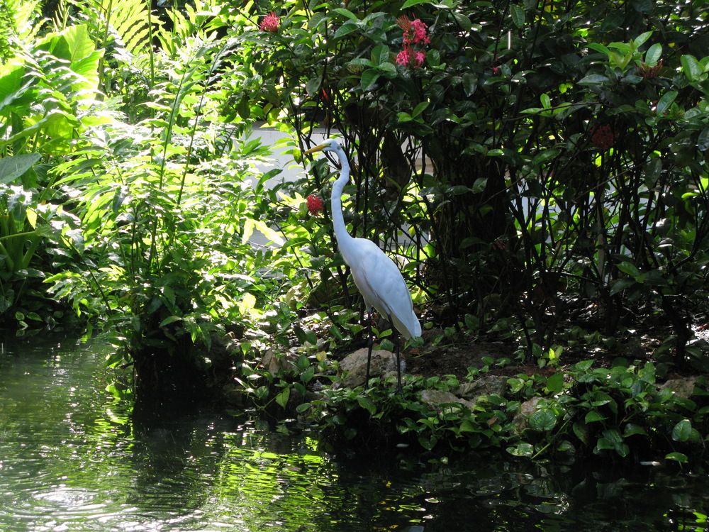 Photograph by Светлана Стрыгина