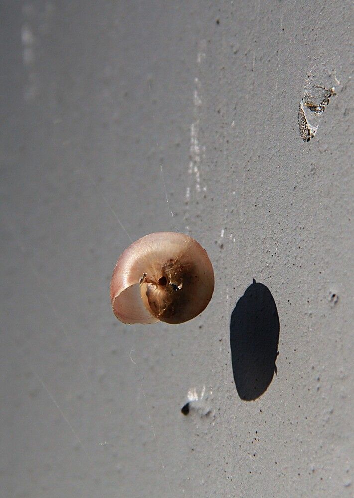 Photograph by Владимир Малёшин