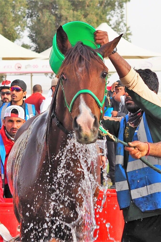 Photograph by Сергей Пушкин