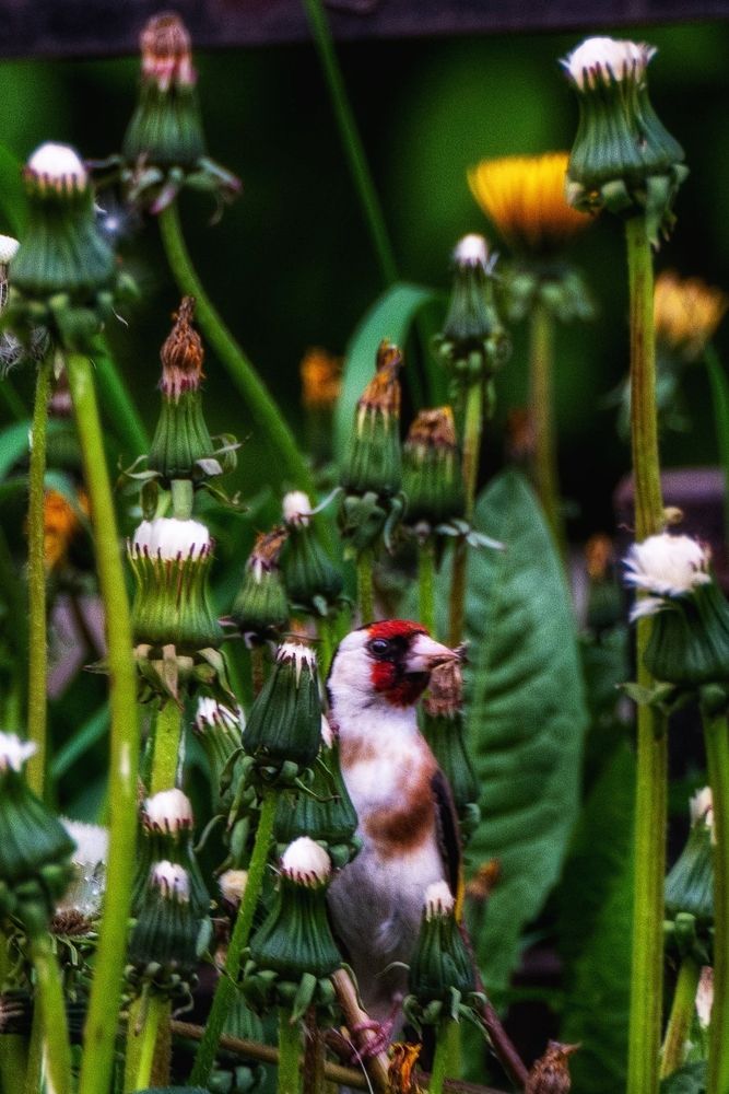 Photograph by Анастасия Глазюк