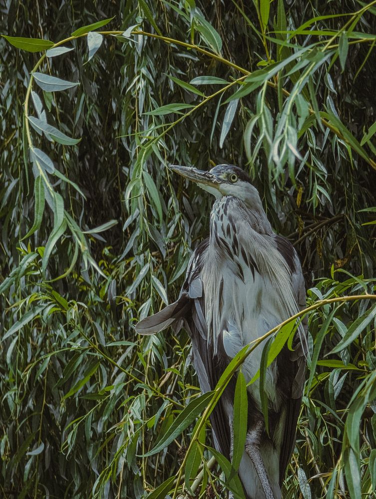 Photograph by Iryna Usanova