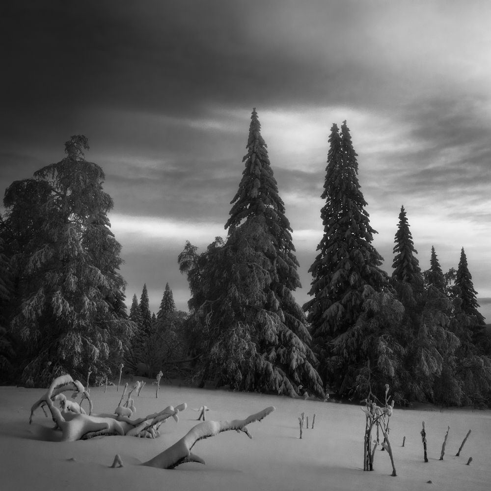 Photograph by Толстоноженко Илья