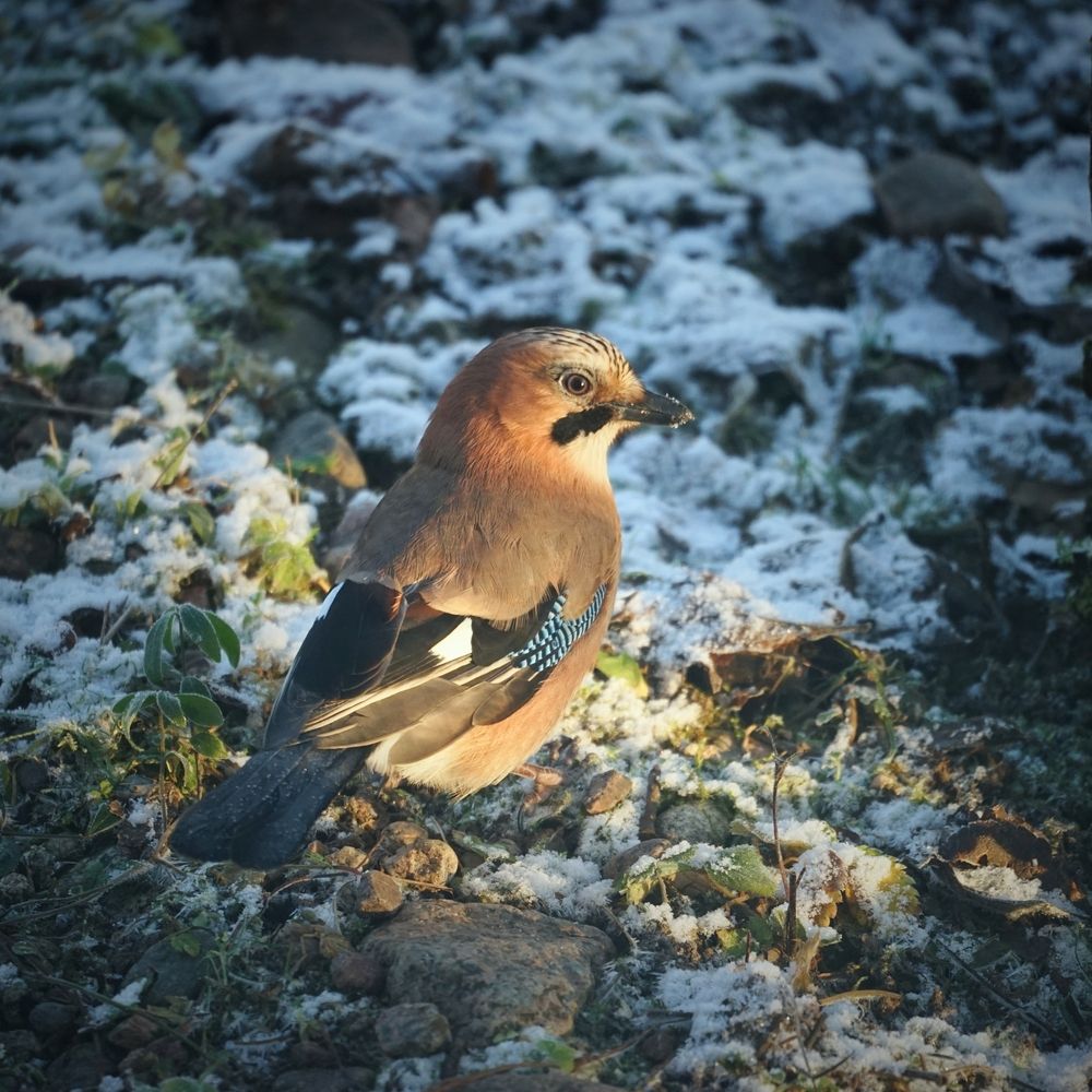 Photograph by Андрей Литов