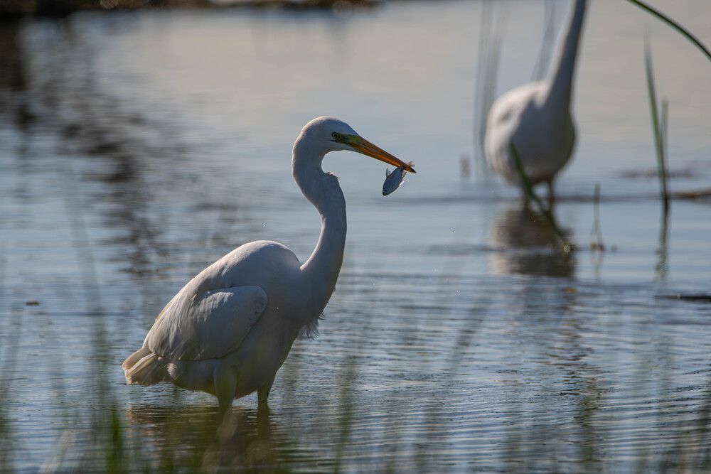 Photograph by Сергей Козлов