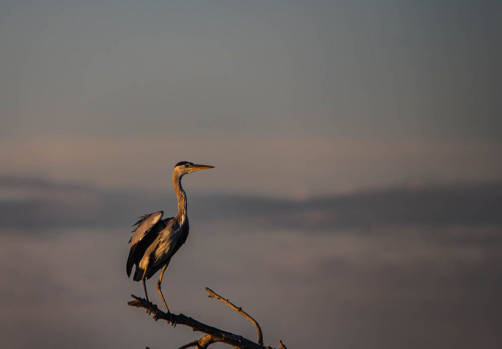 Photograph by Сергей Козлов
