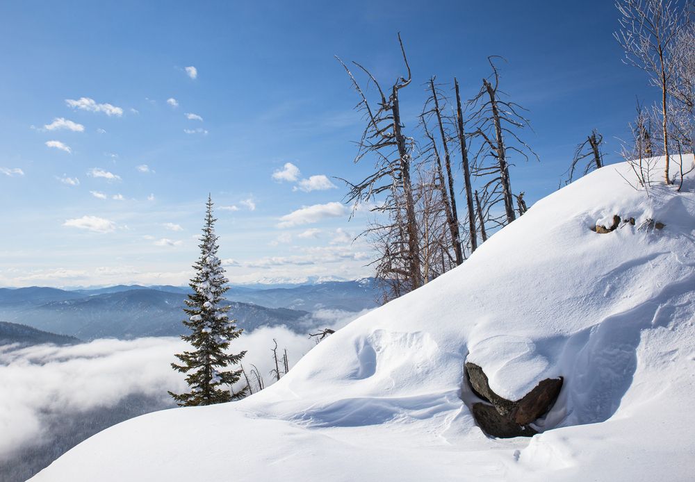 Фотография автора Елена Павлова