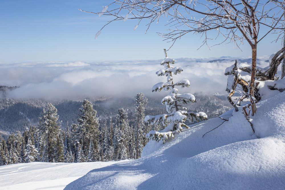 Фотография автора Елена Павлова