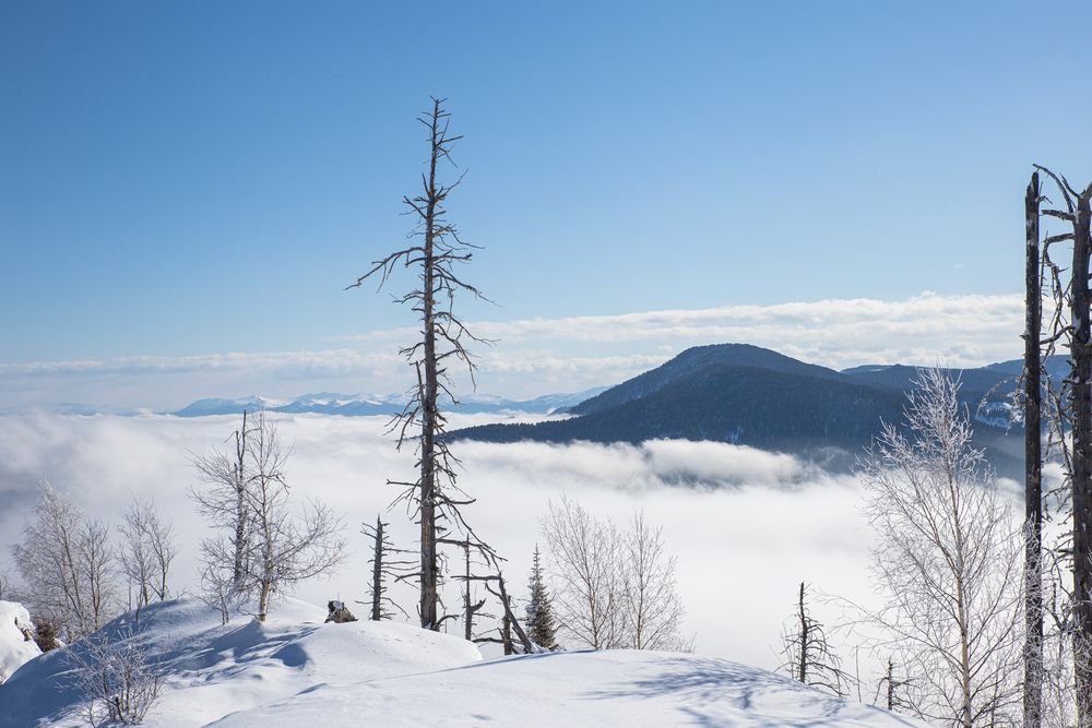 Фотография автора Елена Павлова