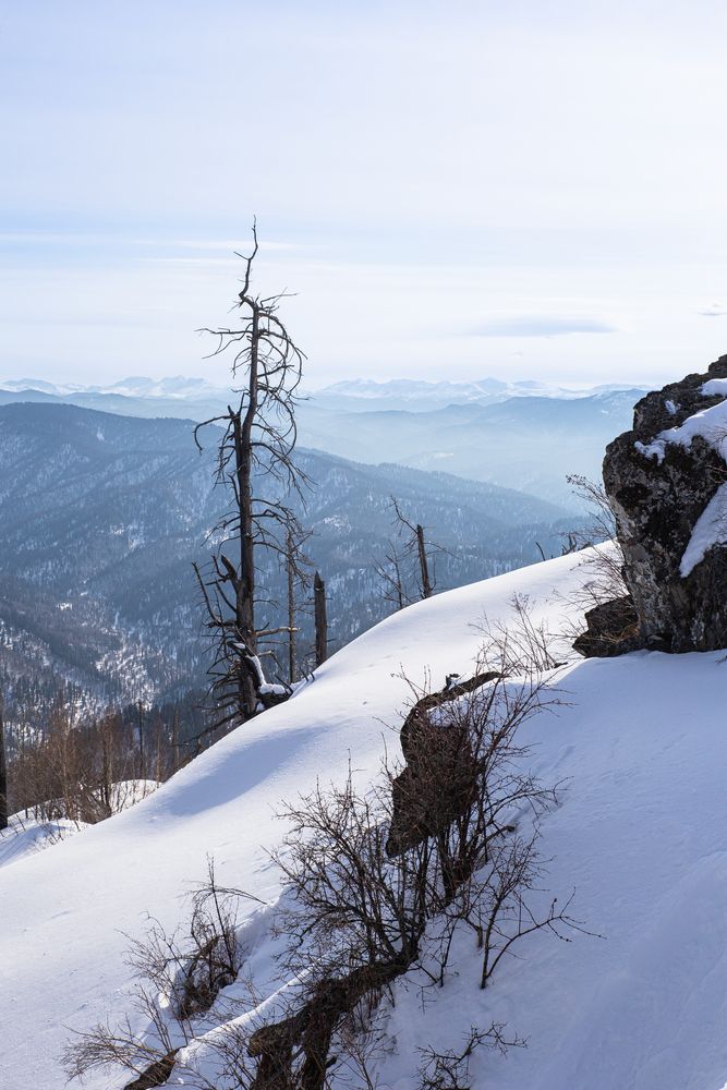 Фотография автора Елена Павлова