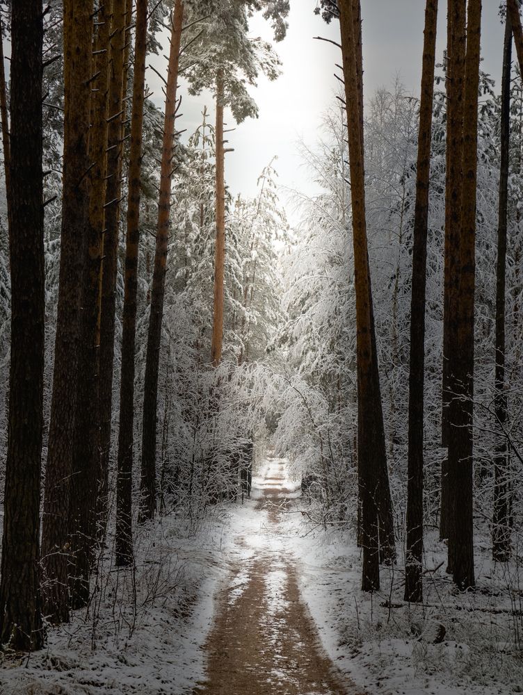 Photograph by Konstantin Martynov