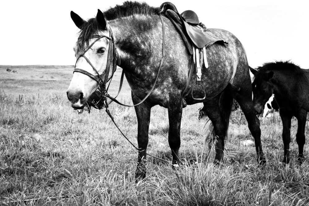 Photograph by Яна Май