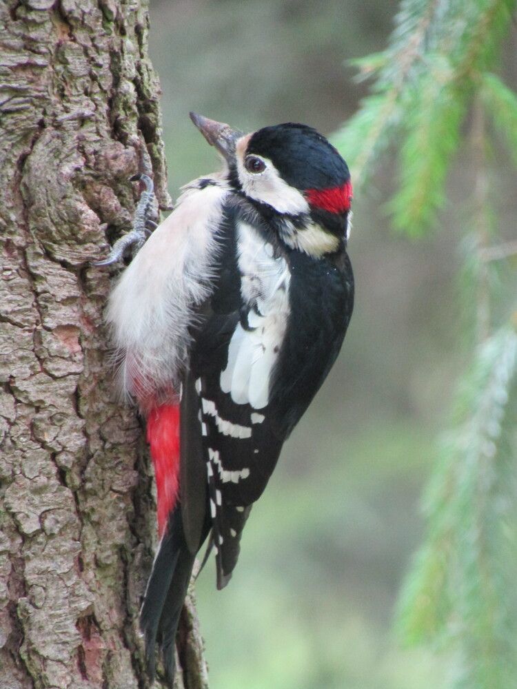 Photograph by Светлана Андреева