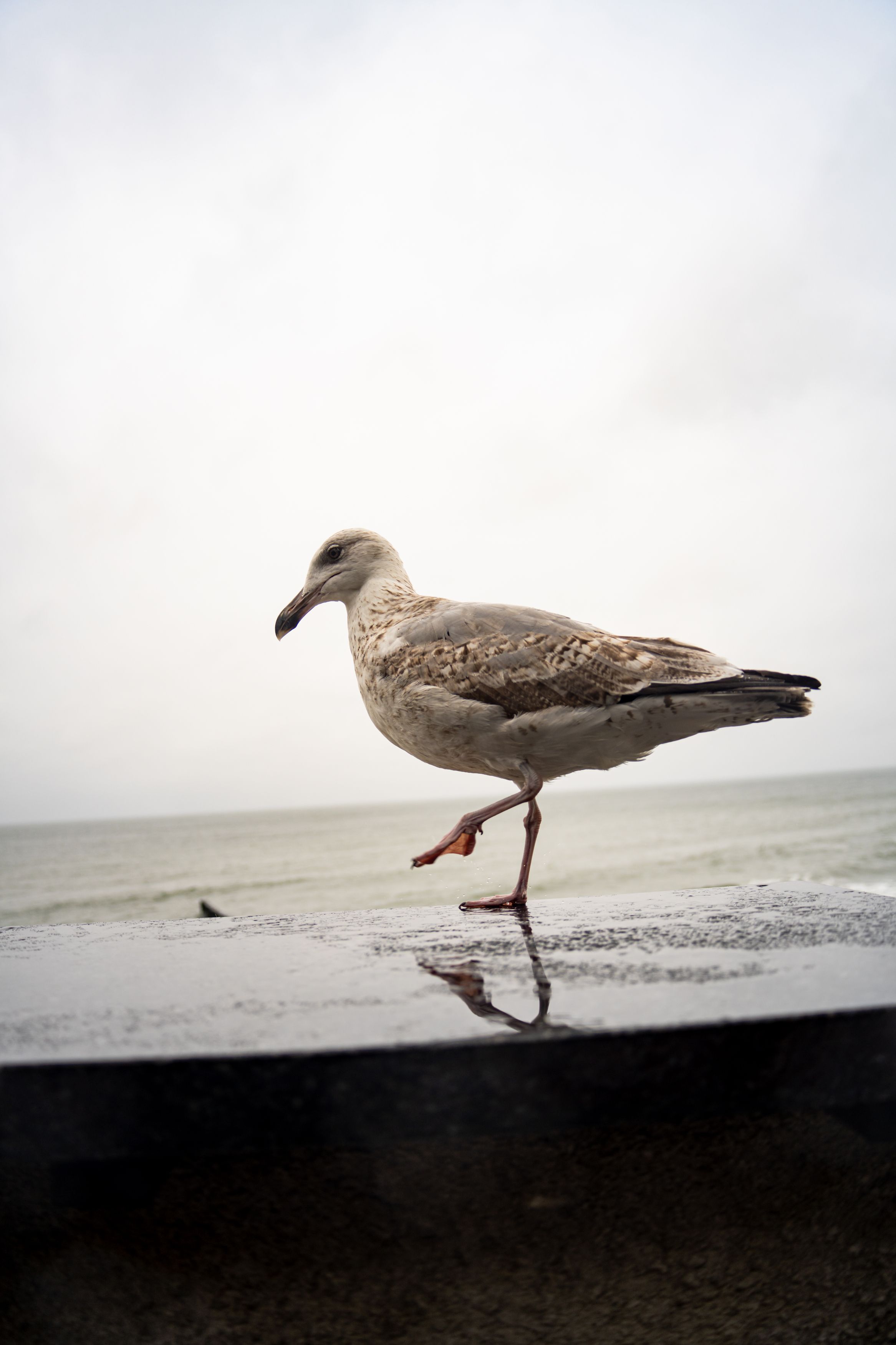 Photograph by Наталия Дмитриева