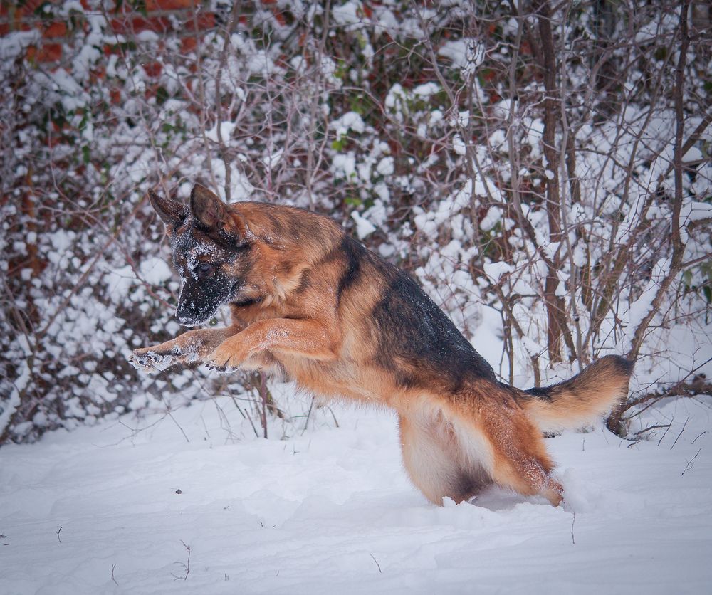 Photograph by Надежда Ковалёва