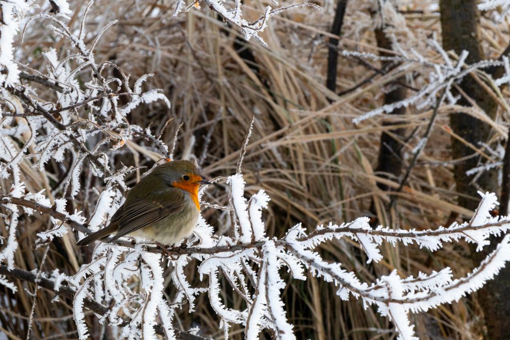 Photograph by Вячеслав Рудинский