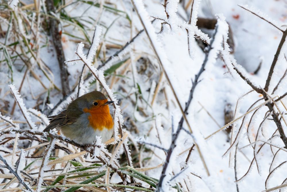 Photograph by Вячеслав Рудинский