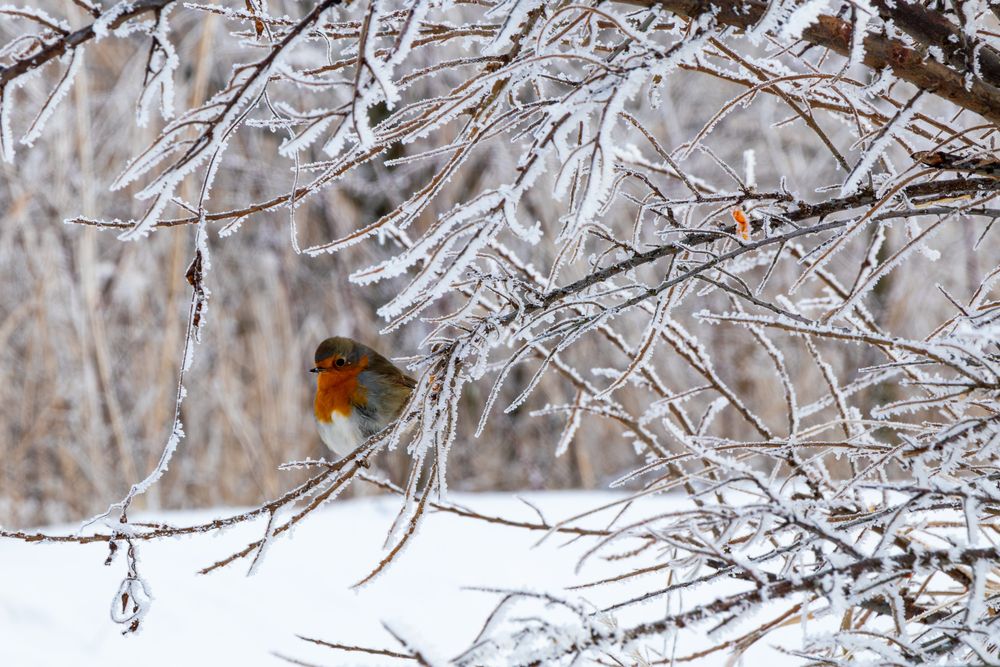 Photograph by Вячеслав Рудинский