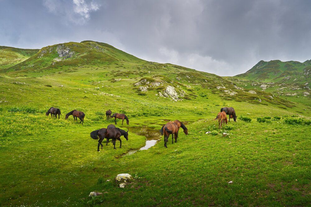 Photograph by Igor Belov