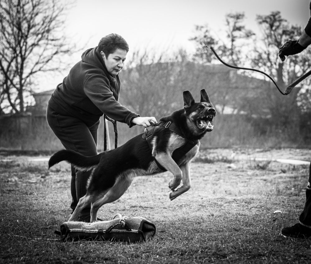 Фотография автора Надежда Ковалёва