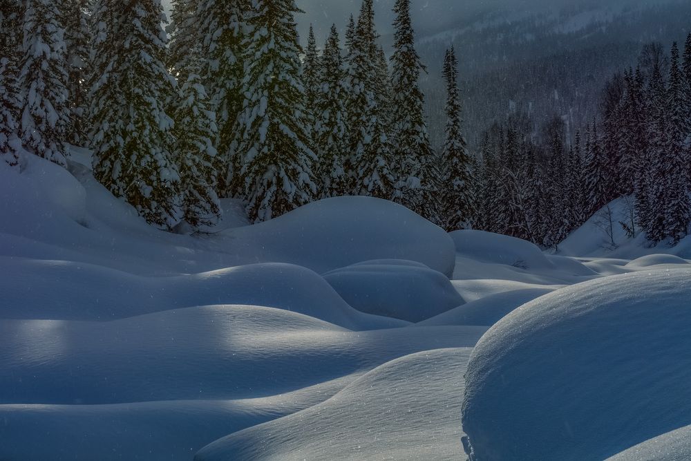 Снежные волны