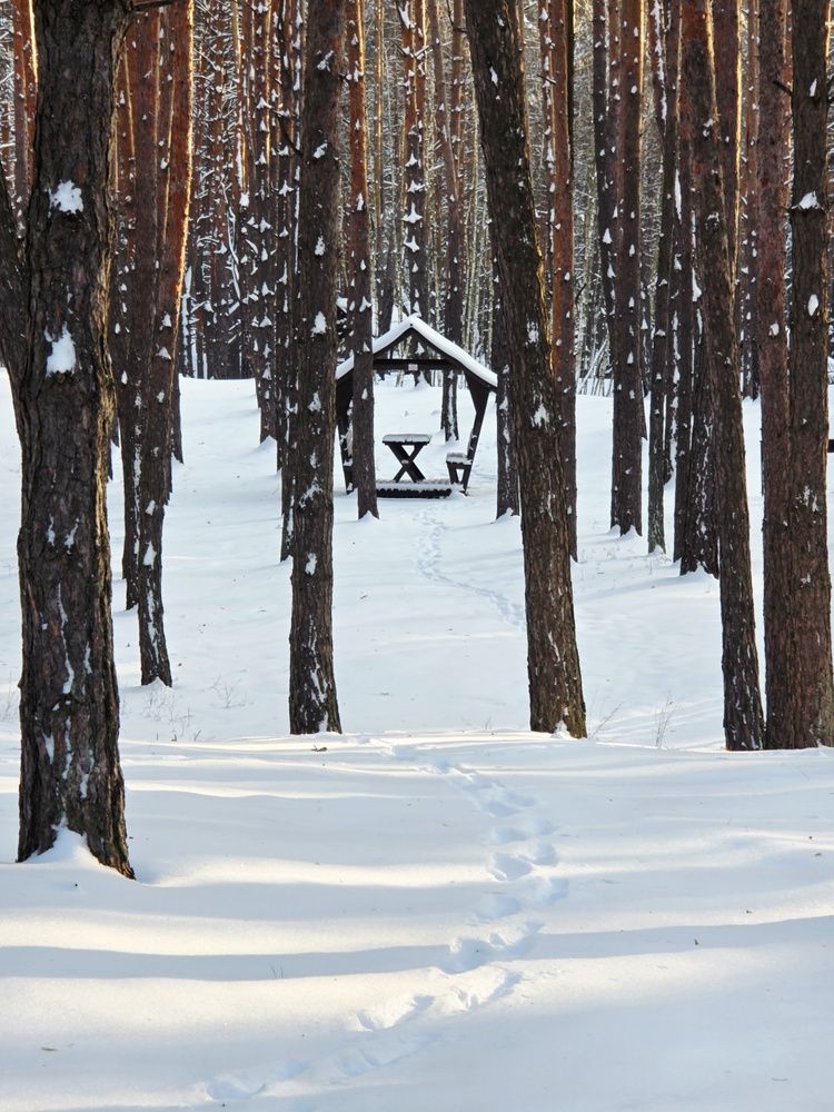 Photograph by Куделенко Оксана