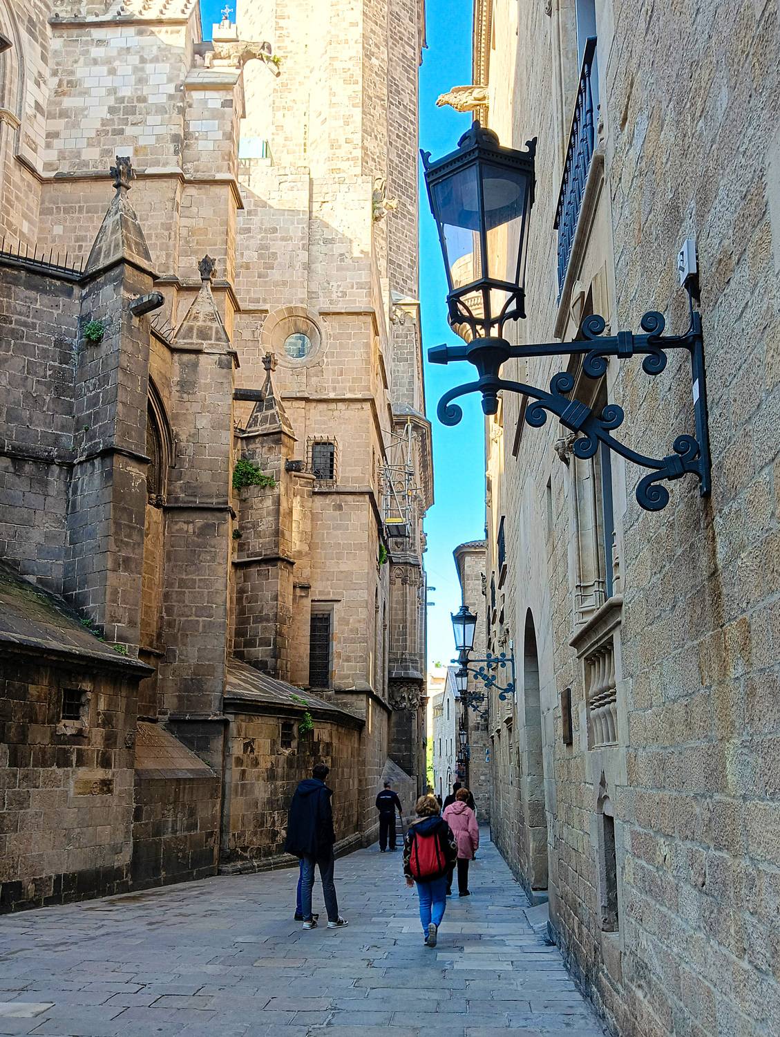 Photo #13098021