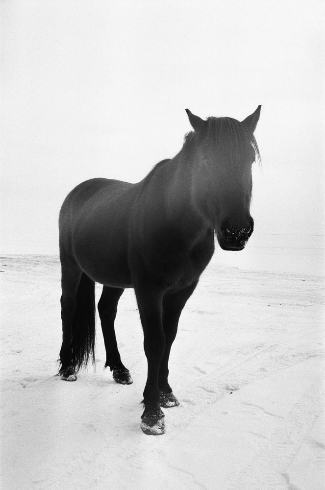 Photograph by Илья Мячин