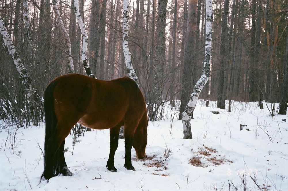 Photograph by Илья Мячин